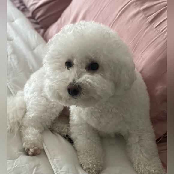 Meet your Posher, Heidi - Picture 6 of 8